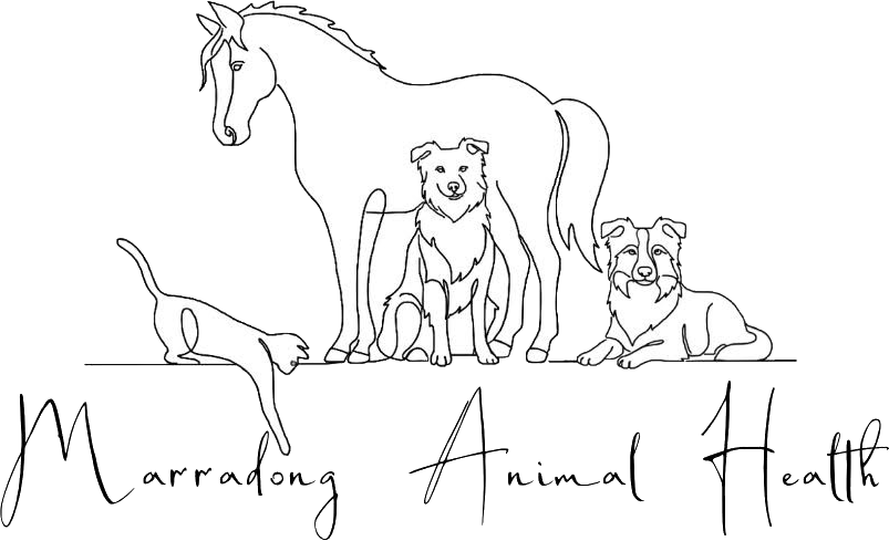 Marradong Animal Health