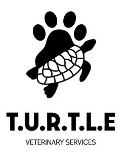 Turtle Vet Services